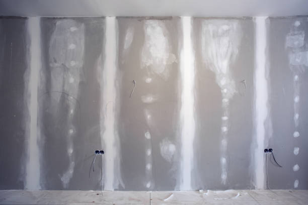 Best Fire-Damaged Drywall Repair  in Pinckneyvle, IL